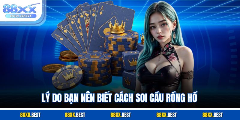 Lý do bạn nên biết cách soi cầu Rồng Hổ